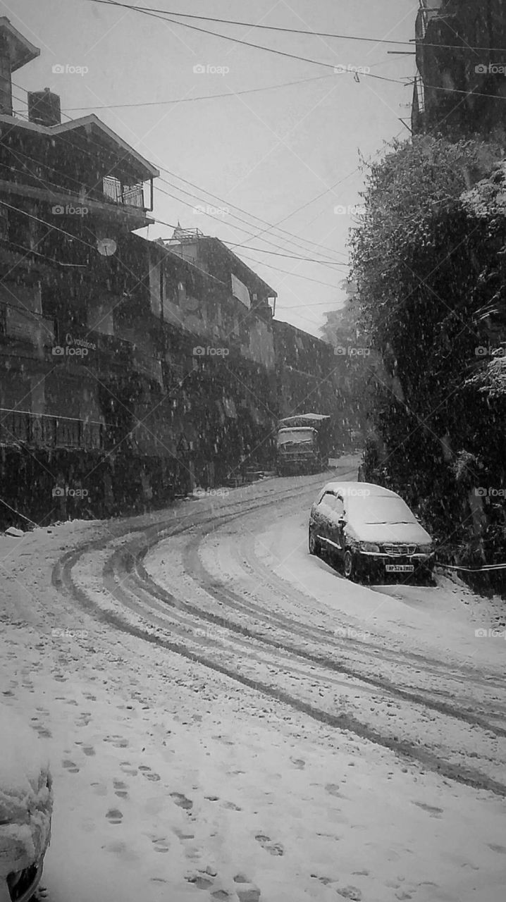 the summer hill shimla when the snow fall begins we feel like we are going to heaven
