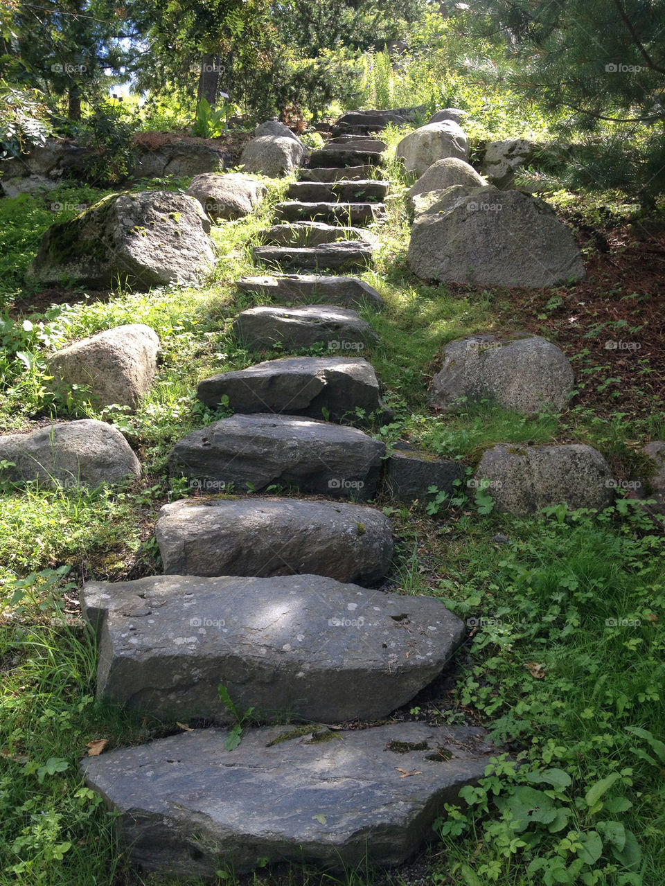 garden stones steps path by carina71