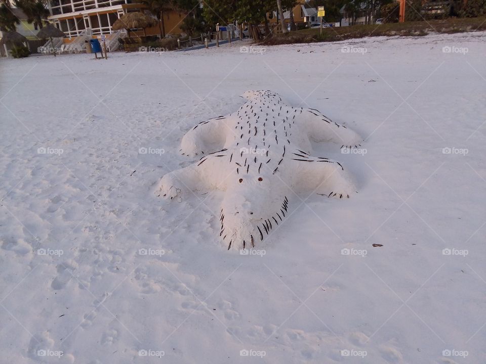 sand sculpturez