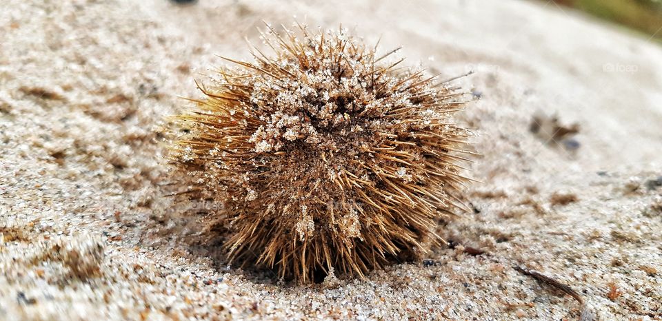 Niederwerth  Germany