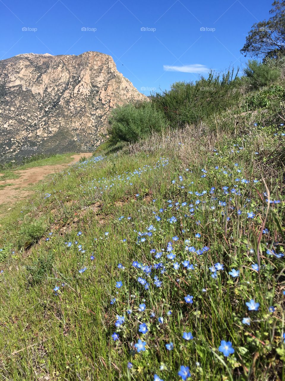 Hiking California 