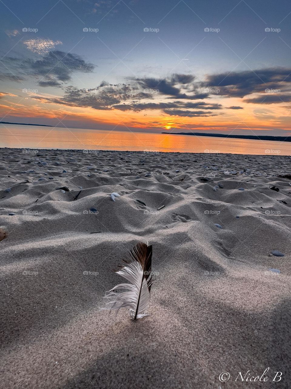 Feather in the sand