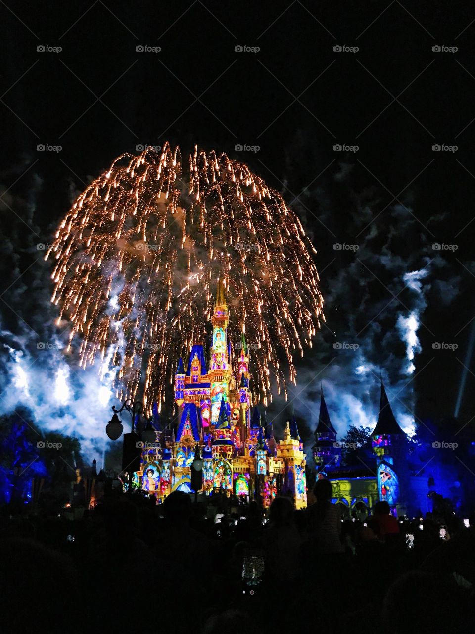 Disney firework show picture captured at the perfect moment. 