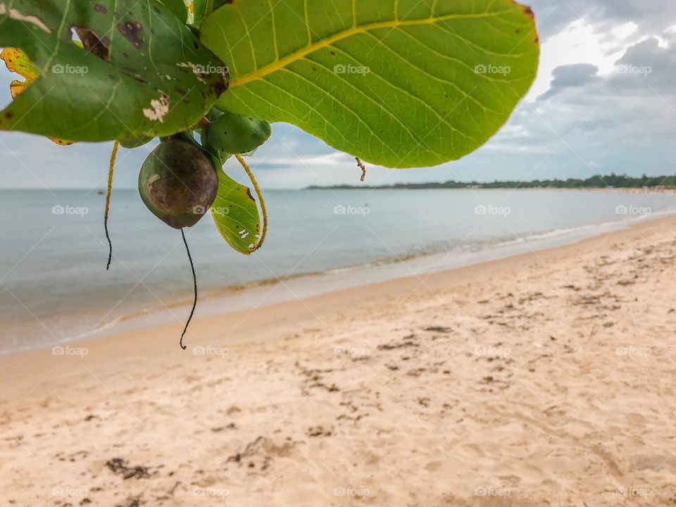 Praia de coroa vermelha Bahia Brasil 🇧🇷