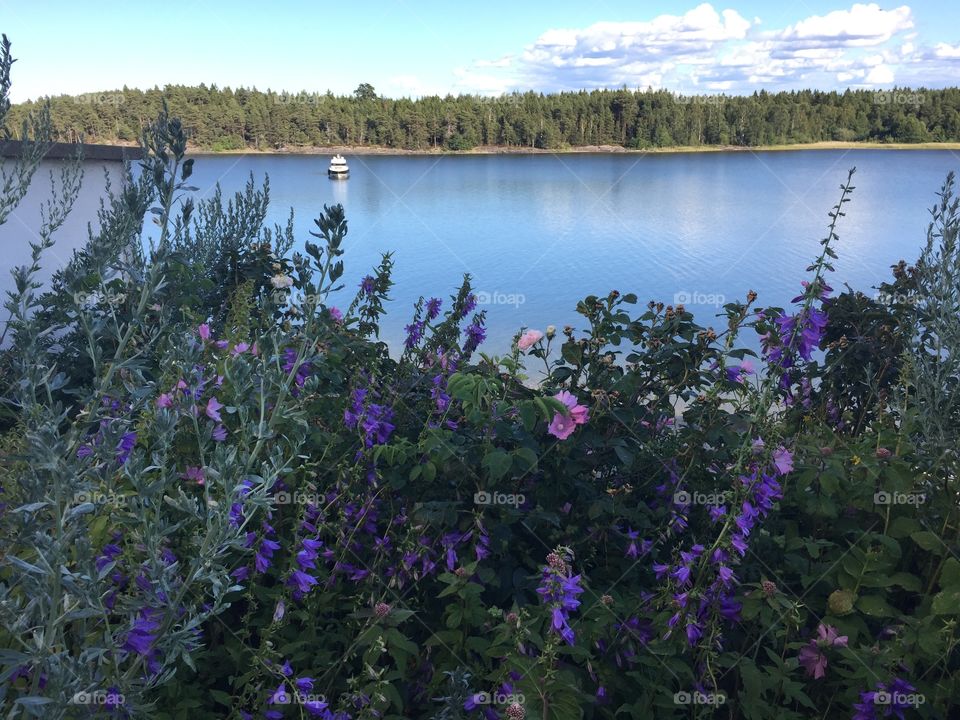 View over lake