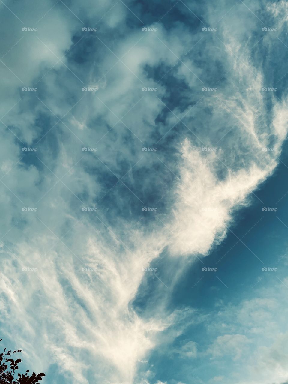 Well isn’t this the ugliest dude I ever saw and he snuck up on me after I thought I was taking a cloud formation pic. But after I reviewed the pic I saw the face.