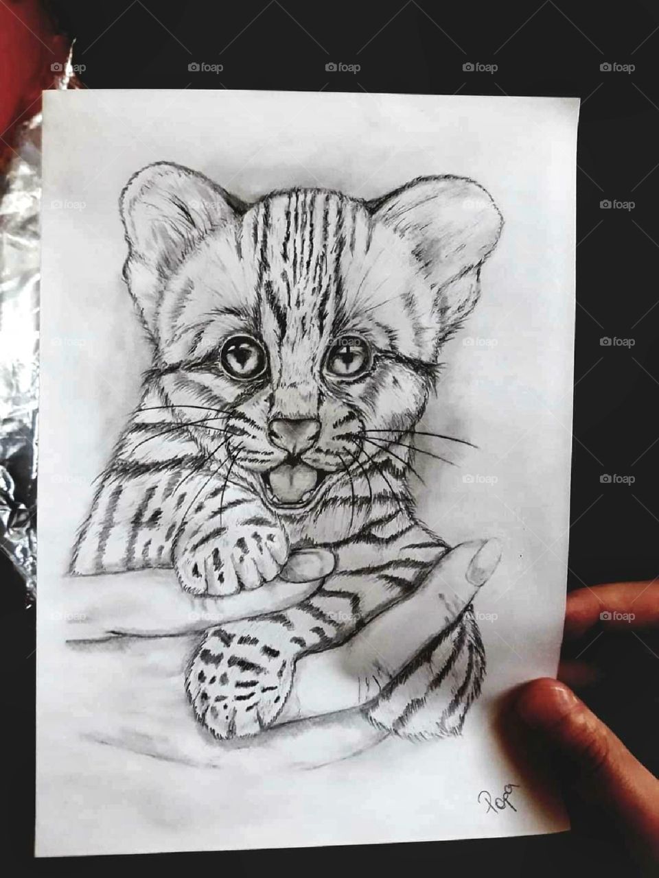 Realistic tiger baby drawing