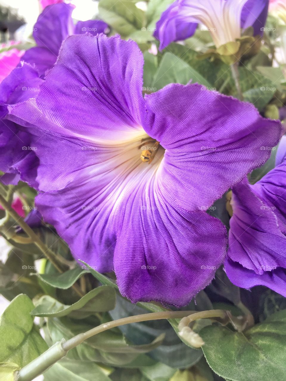 Lavender bloom Macro