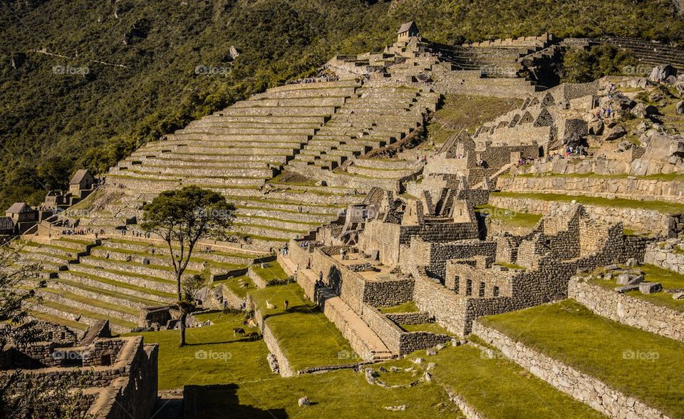 Inca ruins