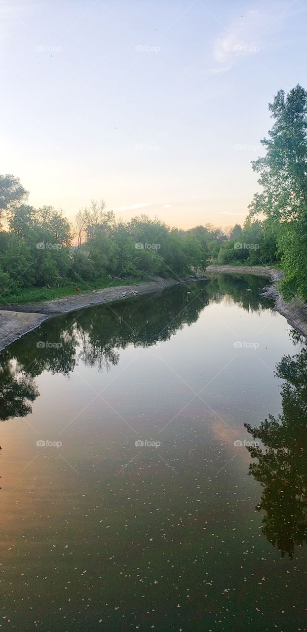 “Forest”. Voila!