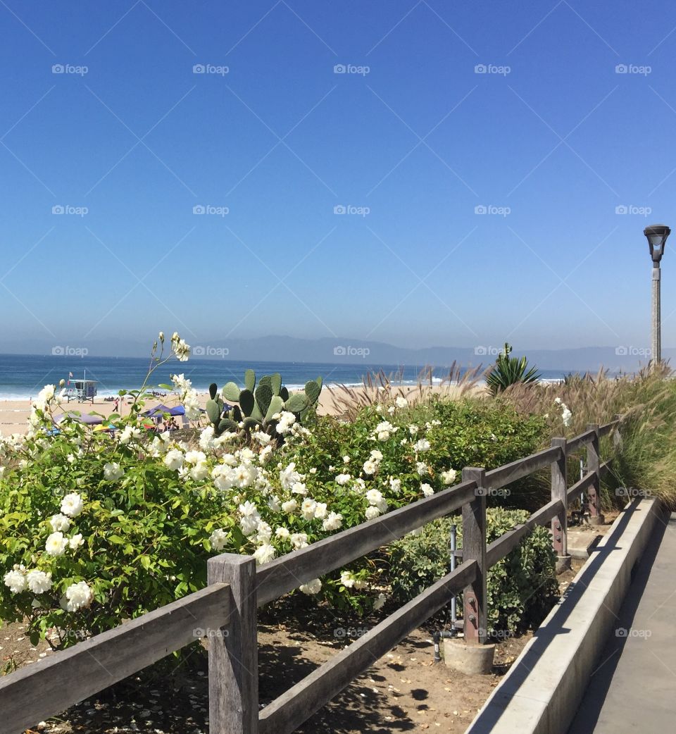 The Strand Manhattan Beach 2