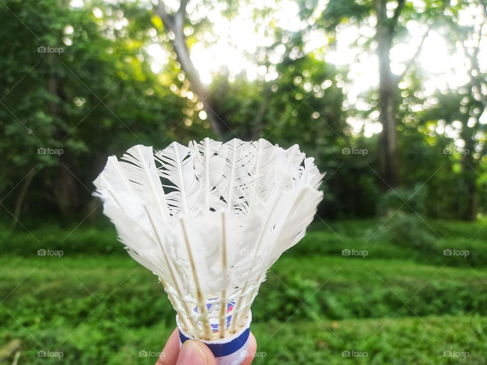 Playing badminton, holding a white shuttlecock with a blurry green forest background