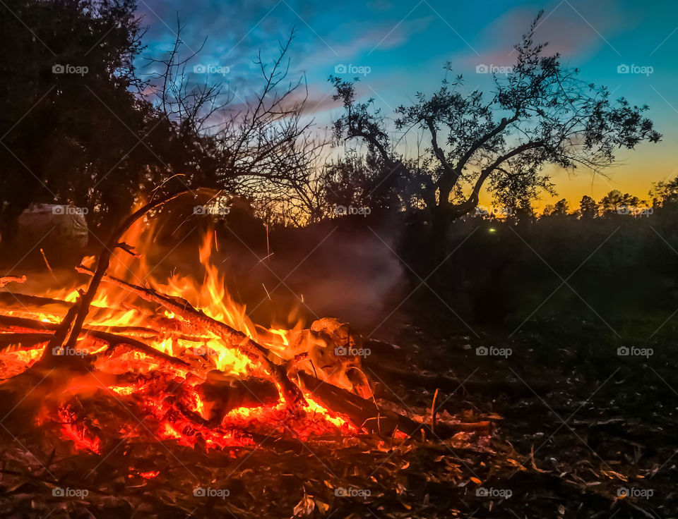 A bonfire, in the evening the sky is just beginning to darken, silhouetting trees in the background 