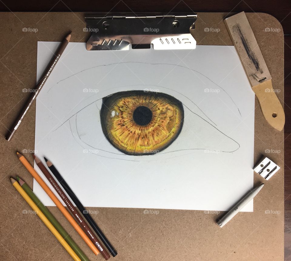 Drawing an Eye