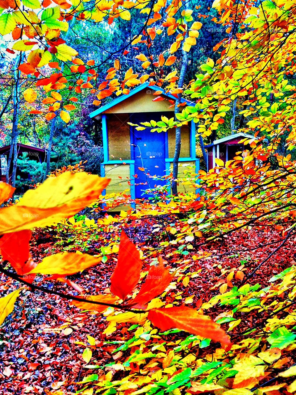 Yellow beach hut in Autumn