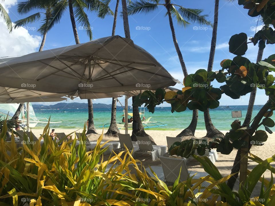 A beautiful, sun-soaked tropical paradise, otherwise known as Boracay, Philippines. A view through the trees at the stunning crystal waters and relaxing beaches of one of the best islands on the chain