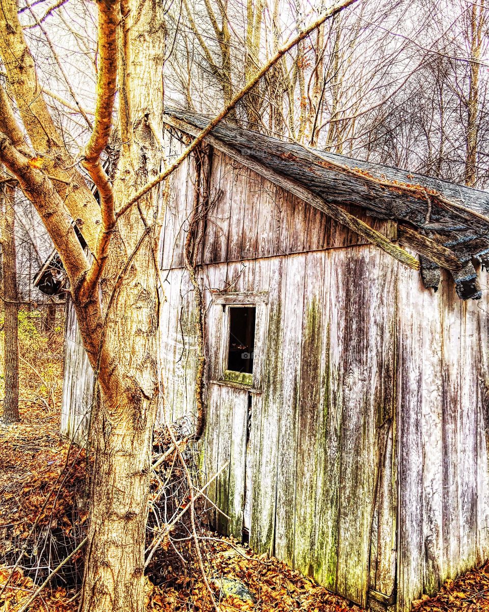 Old barn in winter 