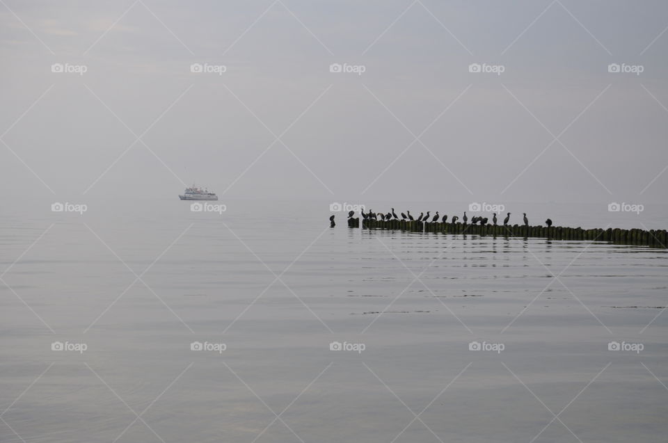 foggy seascape