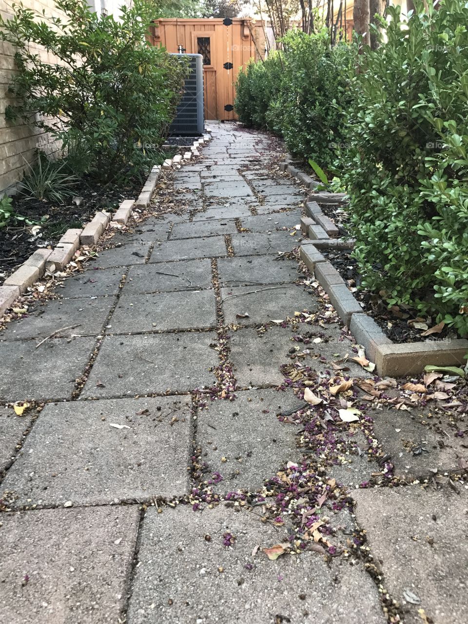 Garden Path