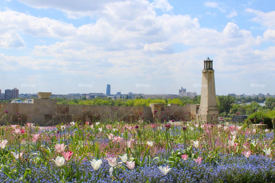 City greenery.  Tulips and Forget-me-not flowers in the city park with view of the city and city walls