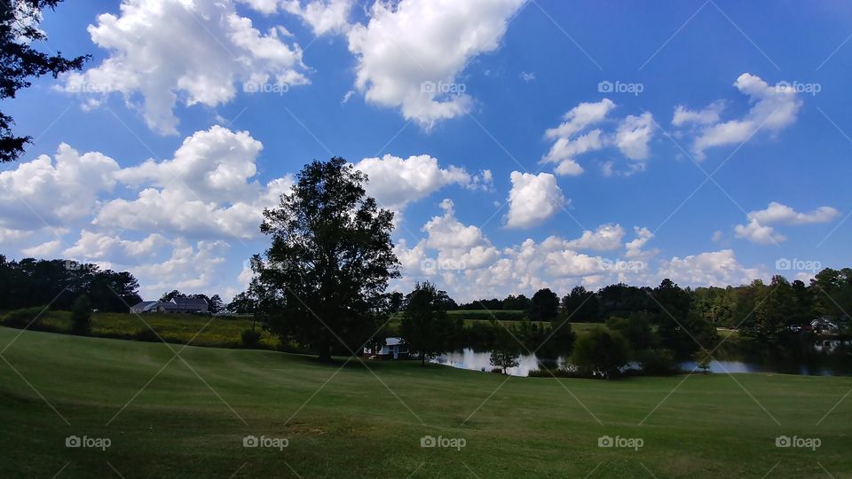 Golf, Landscape, Tree, Grass, No Person