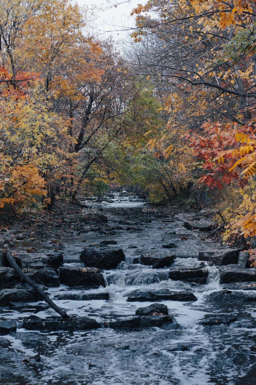 nature is beautiful especially during the fall and autumn season.