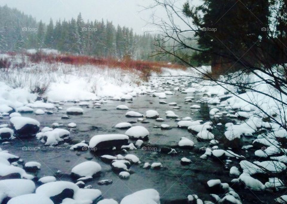 Snowy river 