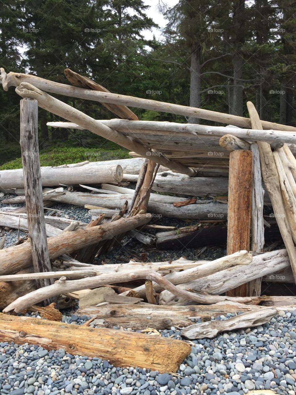 Driftwood Fort 