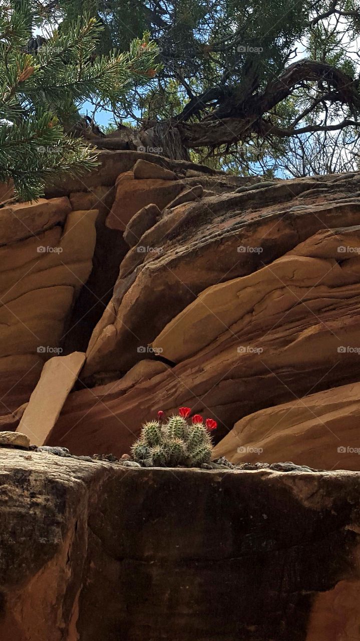 On A Ledge