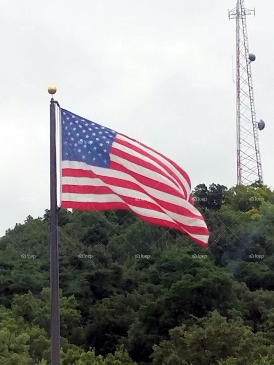 The American  flag