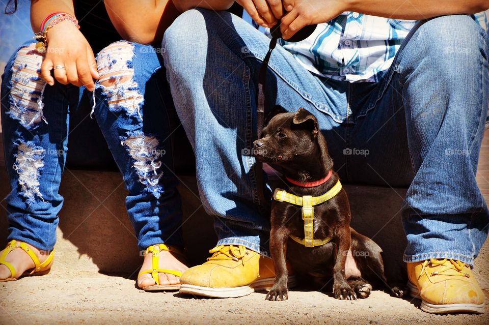 Sitting people, just their legs, with a little dog in front. 
