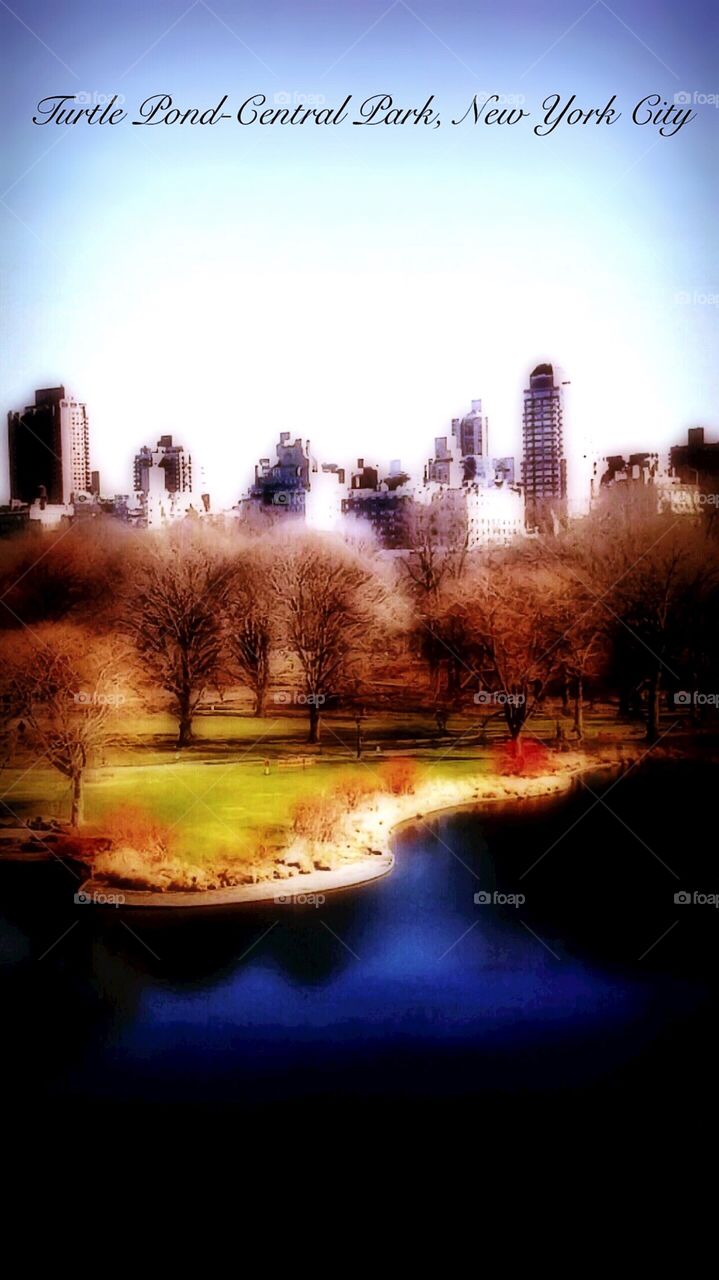 Turtle Pond - Central Park, New York City. Instagram,@PennyPeronto