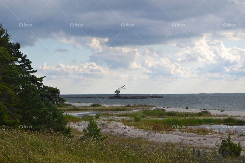 beach ocean sweden crane by anetteaventyr