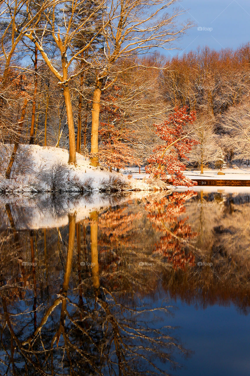 Winter Wonderland after the first snow