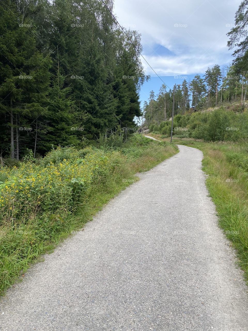 Heart in the horisont