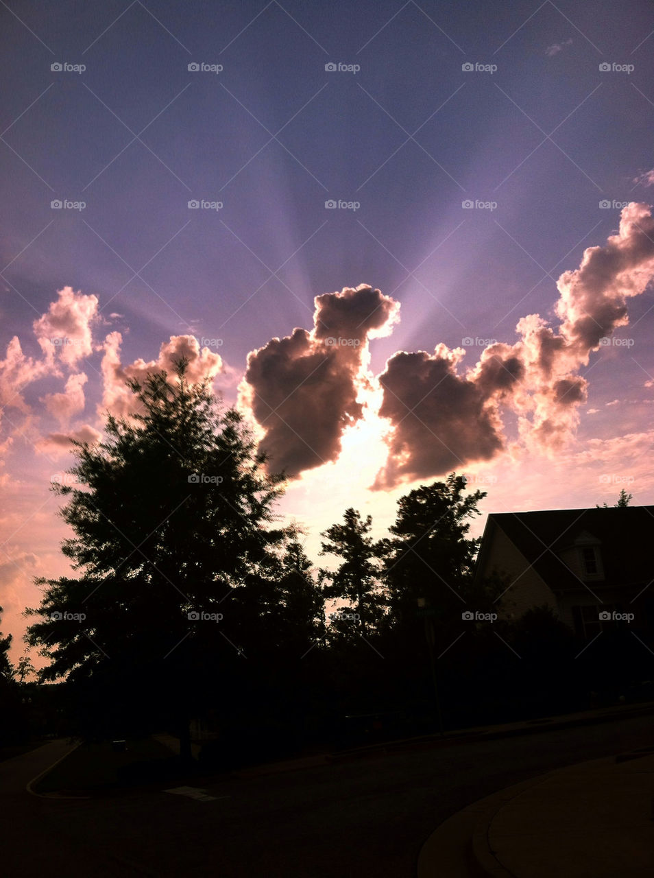 sky clouds sun trees by creative_bacon