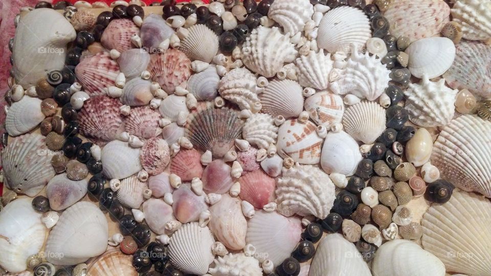 Heart of seashells