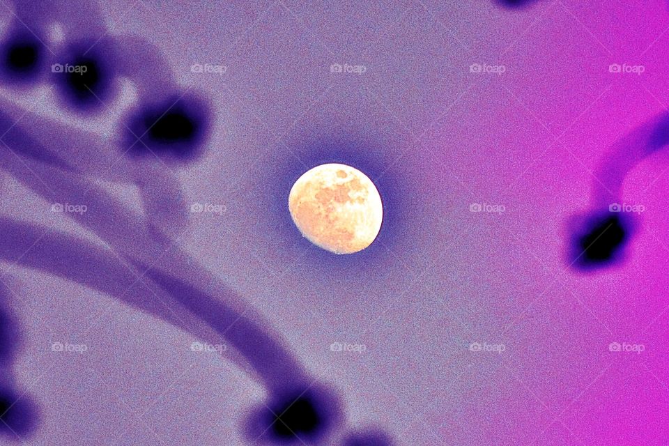 Moon in purple 