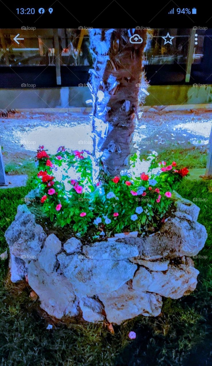 street light and flowers at night