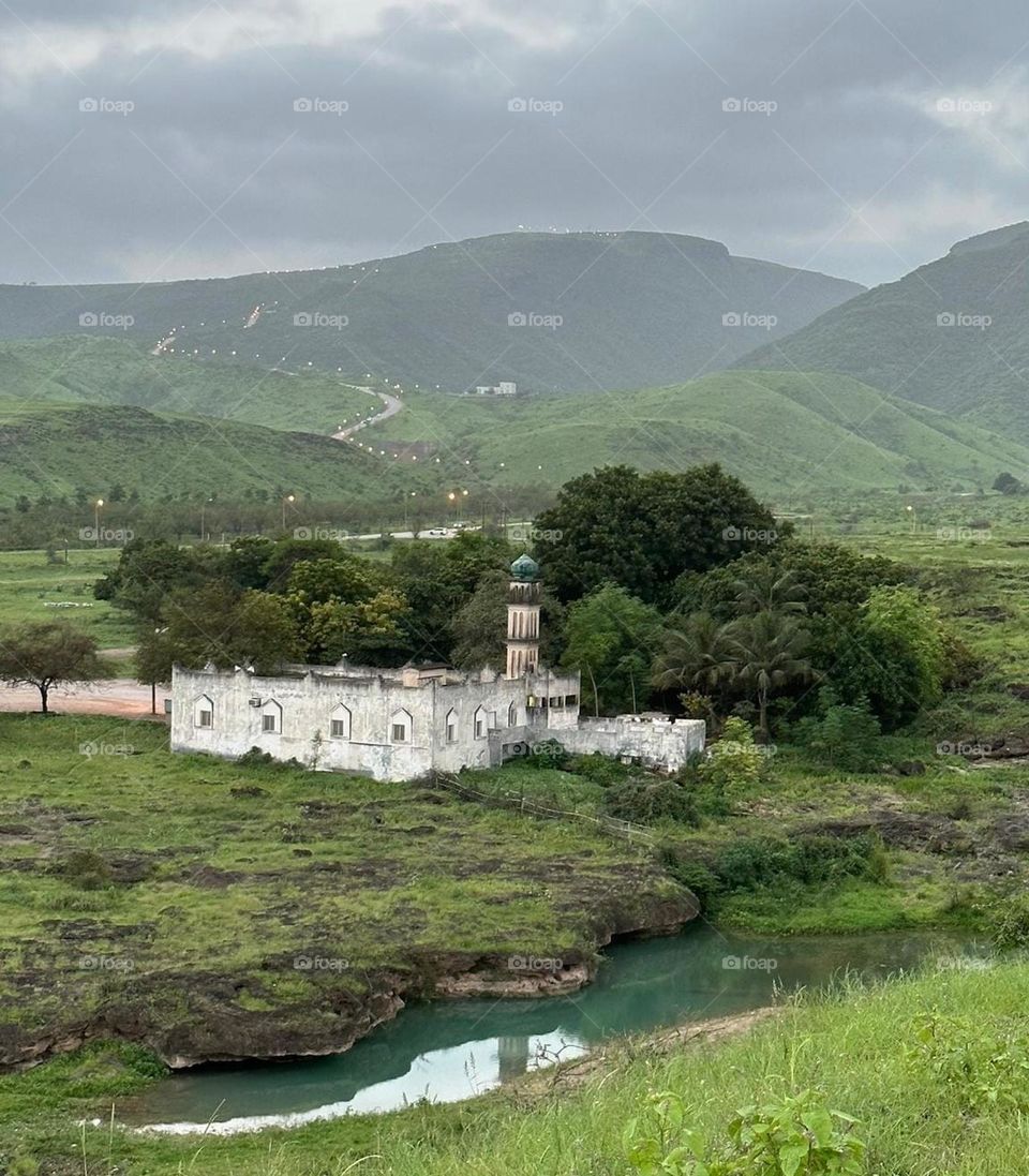 Salalah Autumn (Sultanate of Oman)