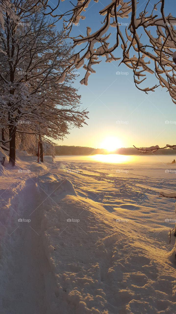Sunrise on snowy landscape with frozen trees