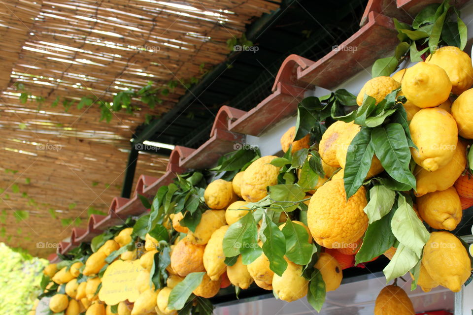 Title

Large lemons on the counter and an inscription in English and Italian-please do not touch the lemons from the island of Capri. the island of Capri, Italy