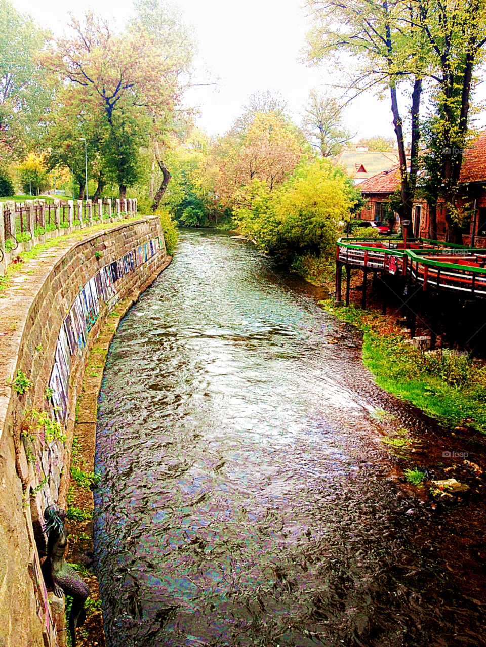 vilnius trees water river by penguincody