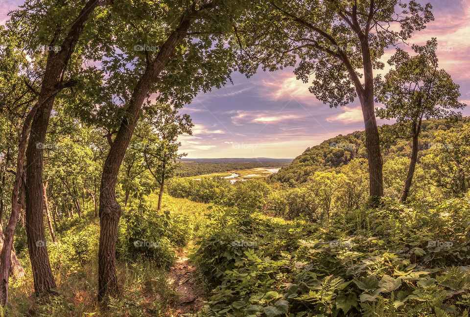 Enchanted Overlook