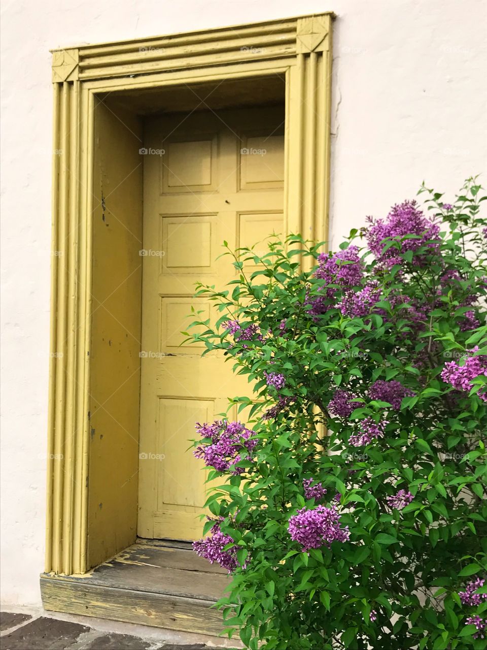 Yellow Door Purple Flowers