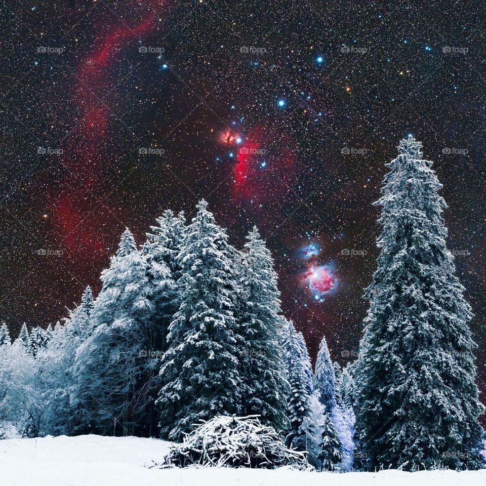 A winter wonderland of night sky with Orion nebula, billion stars and trees covered in snow. 