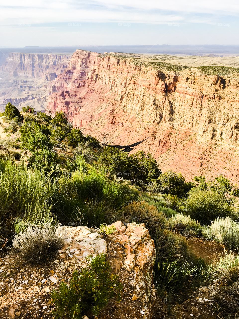 Soaring over Grand Canyon 