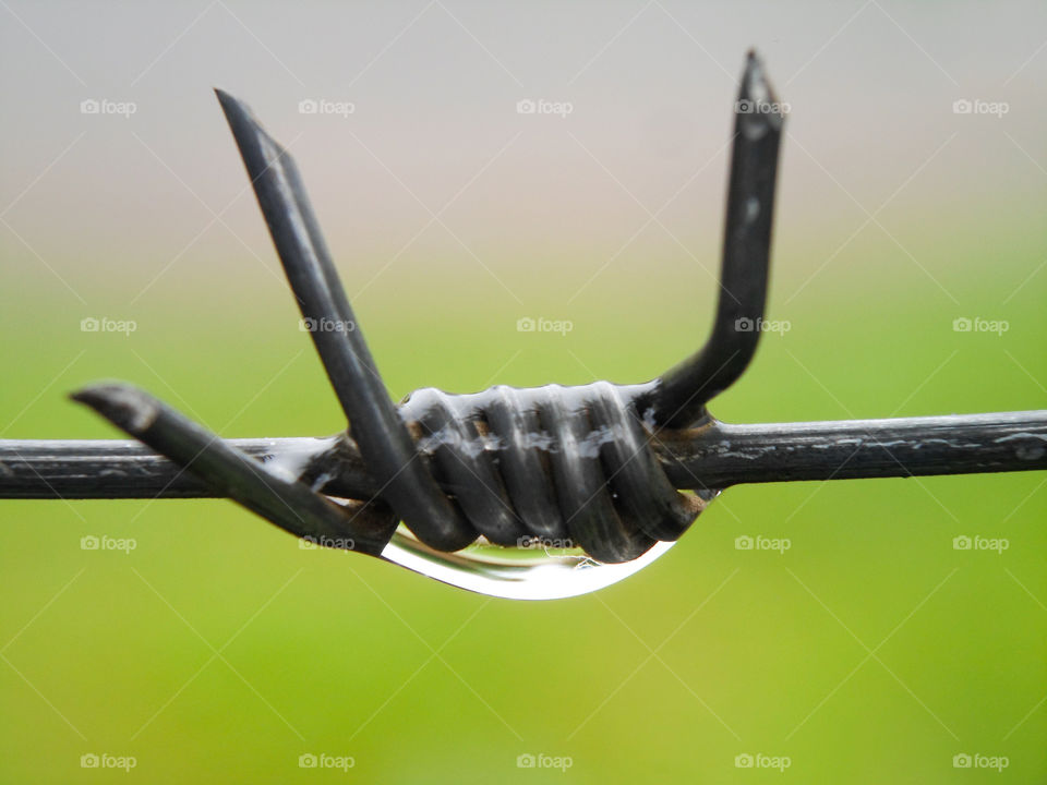 barbed wire with water droplet