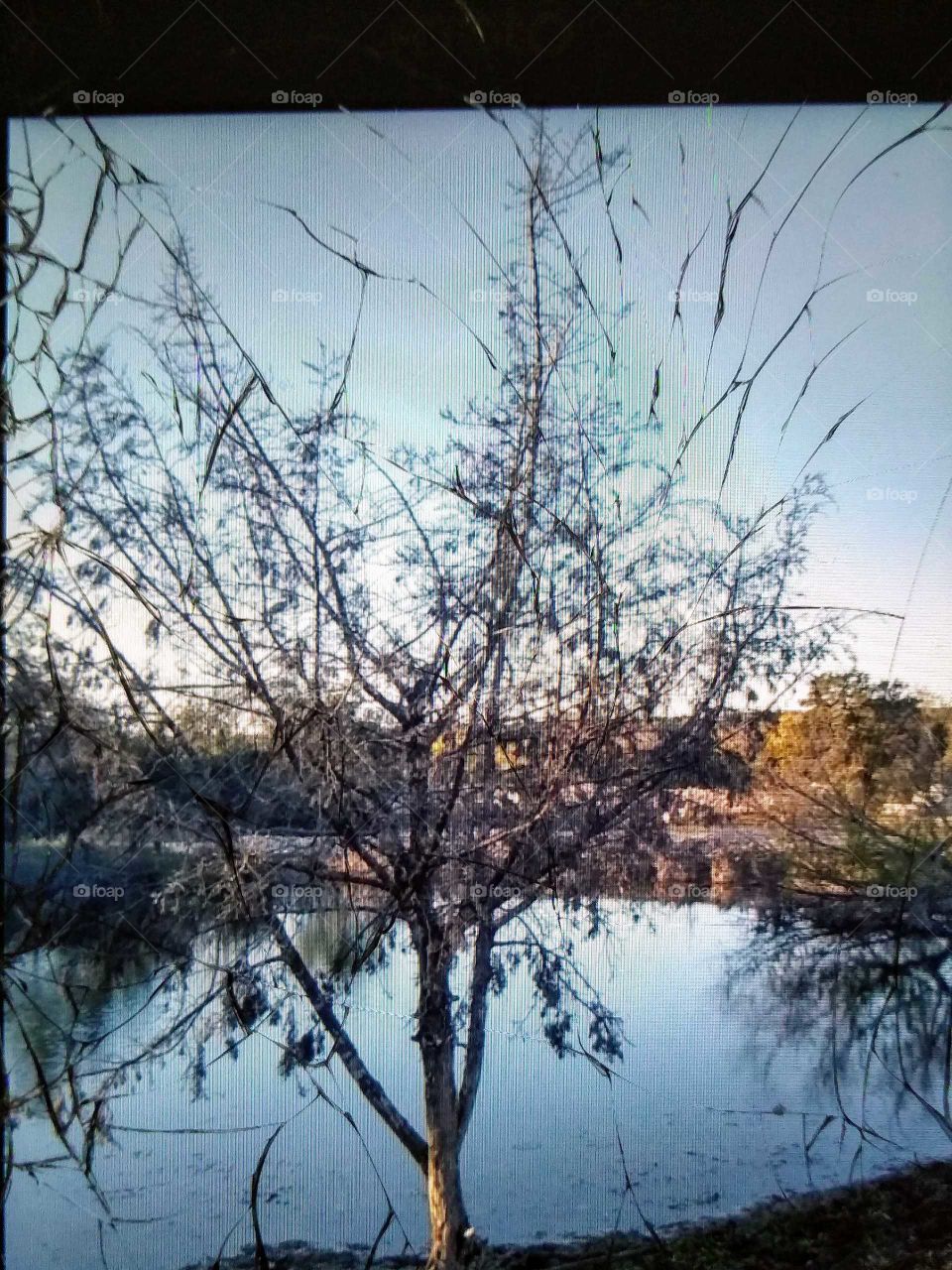 late evening picture of the pond by my house in Salado Texas
