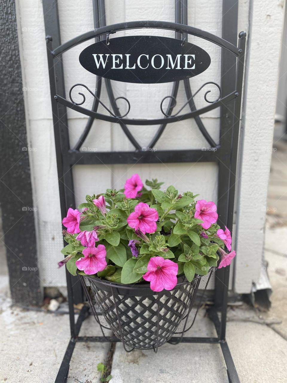 Flowers in welcome planter